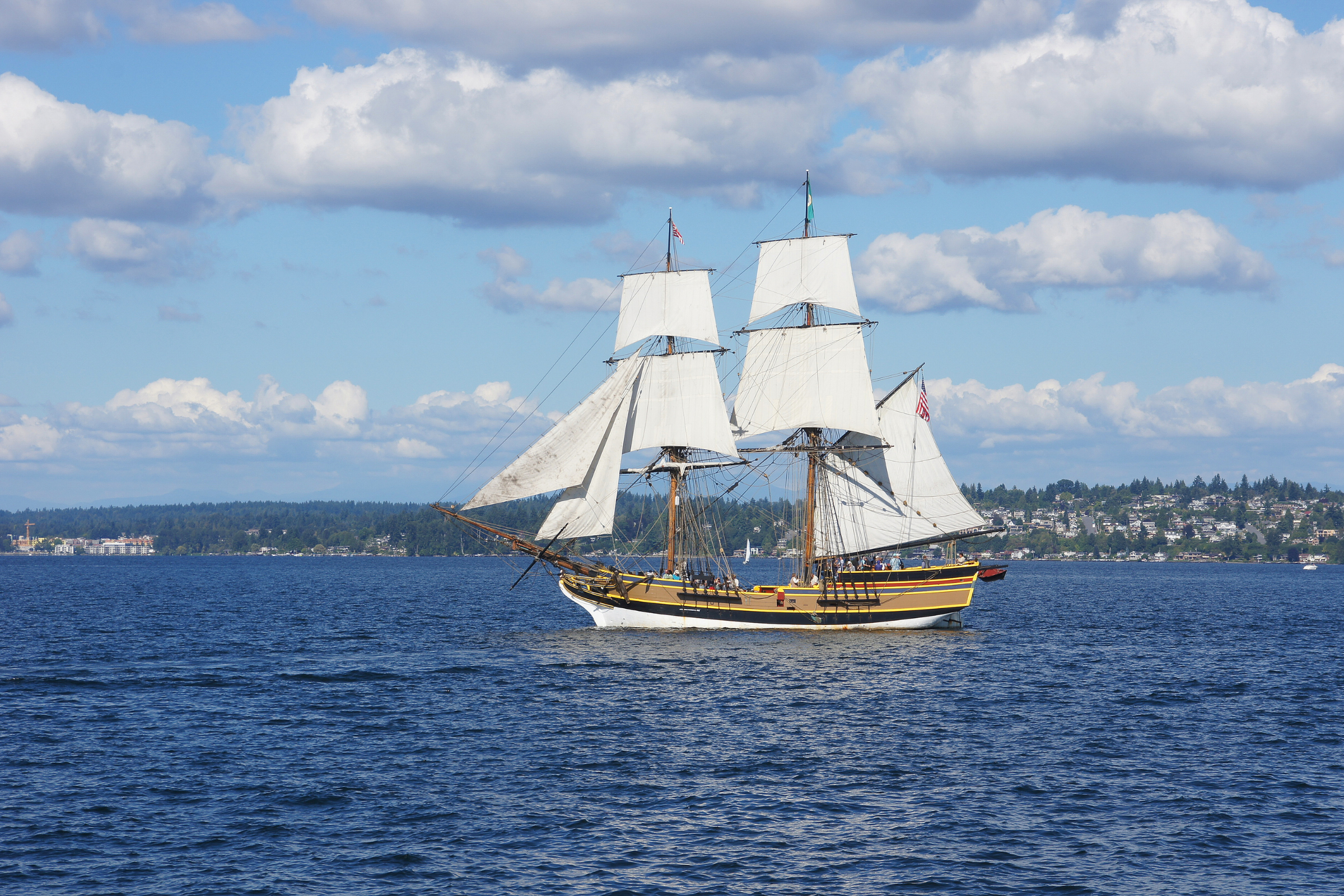 brig (4).webp